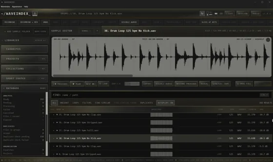 WAVEINDEX dark theme with waveform editor and library sidebar