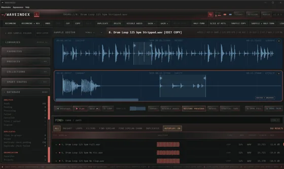 WAVEINDEX showing an audio edit copy with two waveforms