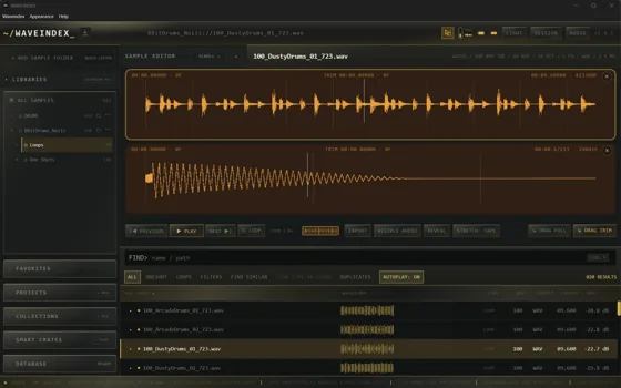 WAVEINDEX dark workspace with gold waveforms and sample library